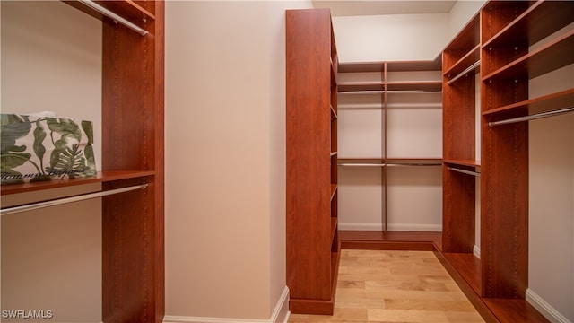 walk in closet with light wood-type flooring