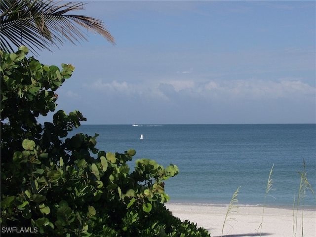 view of water feature featuring a beach view