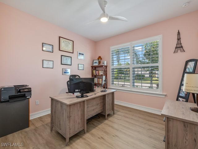 office featuring ceiling fan and light wood-type flooring