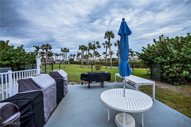 view of patio / terrace with area for grilling