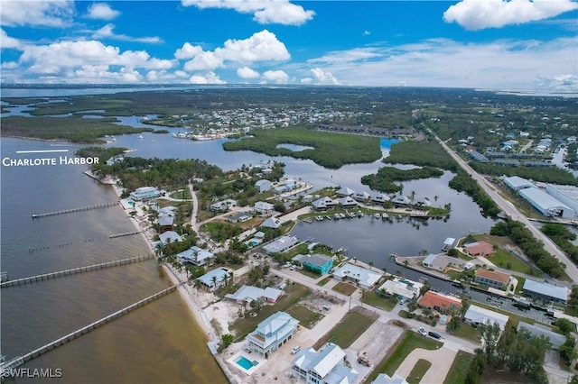 aerial view with a water view