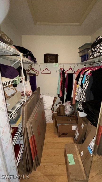 spacious closet featuring light hardwood / wood-style flooring