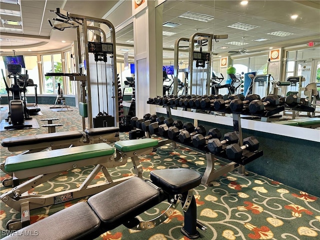 exercise room featuring carpet flooring and a drop ceiling