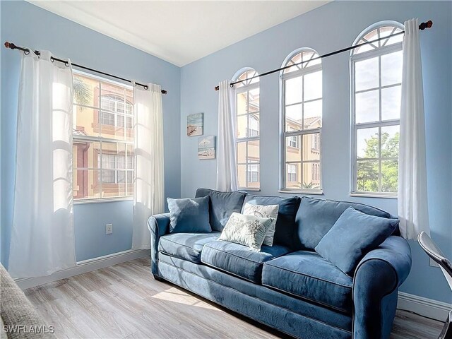 living room featuring a healthy amount of sunlight and light hardwood / wood-style floors