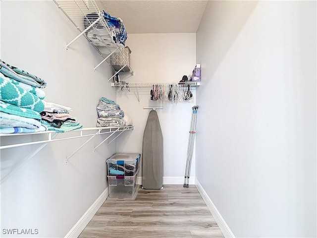 spacious closet featuring wood-type flooring