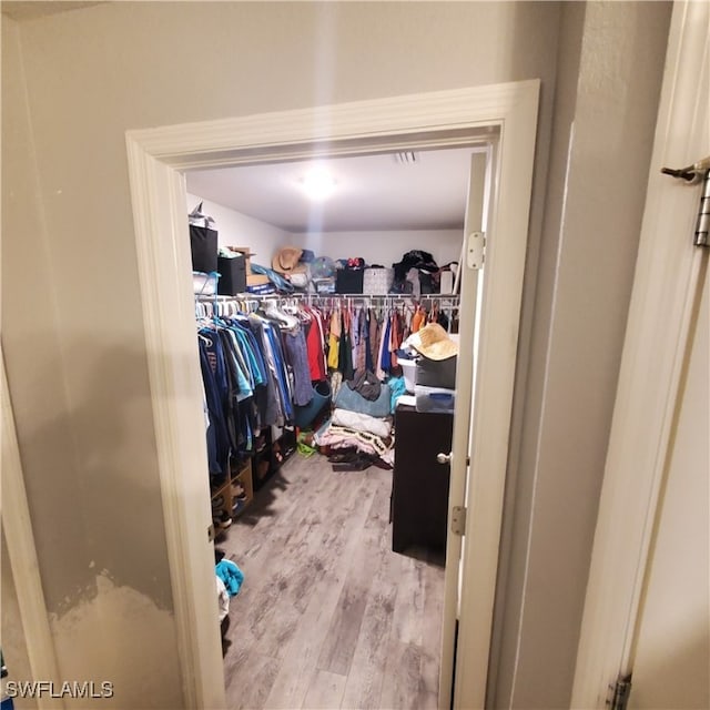 spacious closet with light wood-type flooring