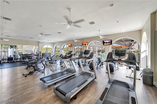 gym with hardwood / wood-style floors and ceiling fan