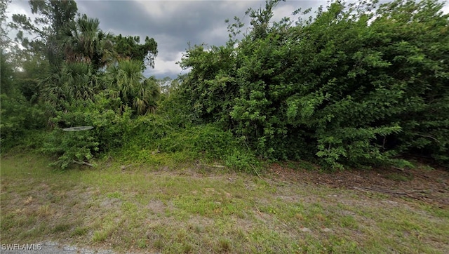 1509 Magnolia Ave, Lehigh Acres FL, 33972 land for sale