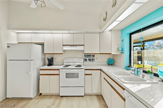 kitchen with white cabinetry, sink, white appliances, and light hardwood / wood-style flooring