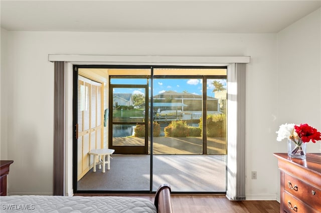 bedroom featuring access to outside, multiple windows, a closet, and wood-type flooring