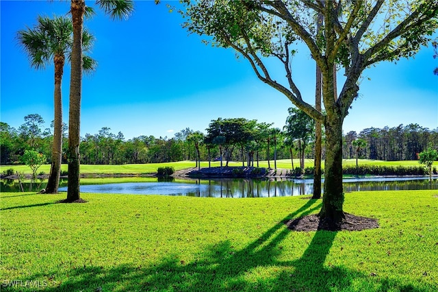 surrounding community with a lawn and a water view