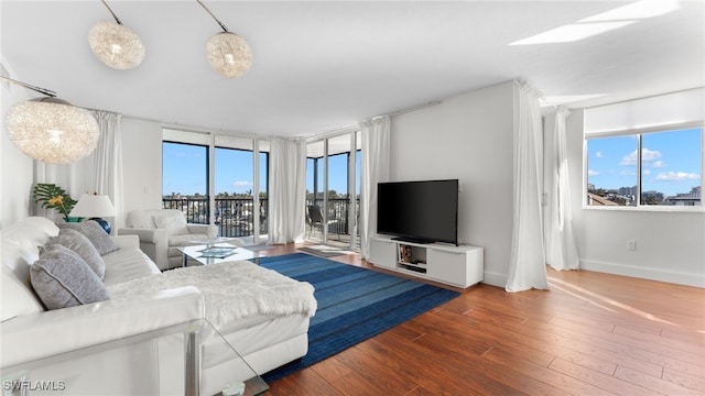 living room featuring hardwood / wood-style flooring