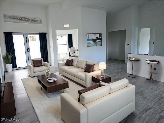 living room with wood finished floors and a towering ceiling