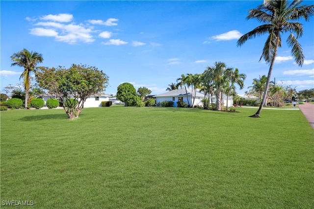 381 Norwood Ct, Fort Myers, FL 33919 - view of green lawn