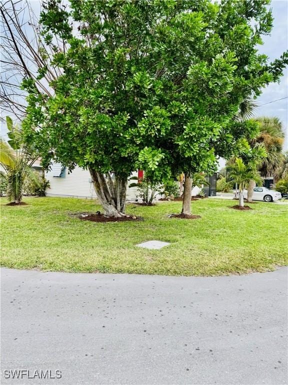 view of home's community with a yard