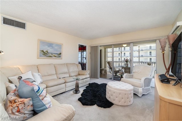 carpeted living room with a textured ceiling