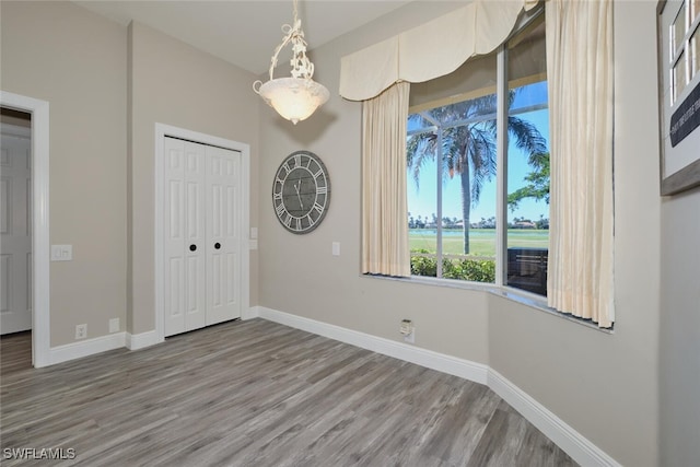 interior space with a closet and hardwood / wood-style floors