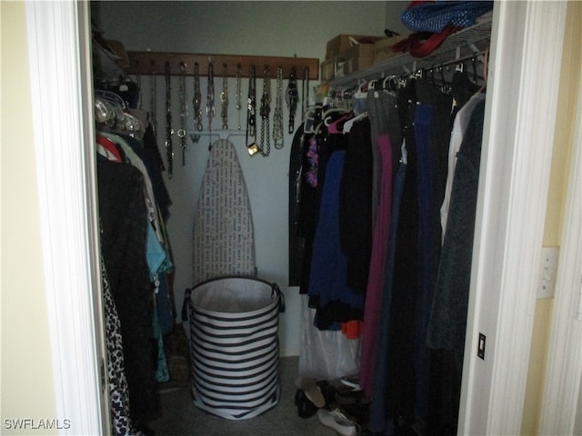 view of walk in closet