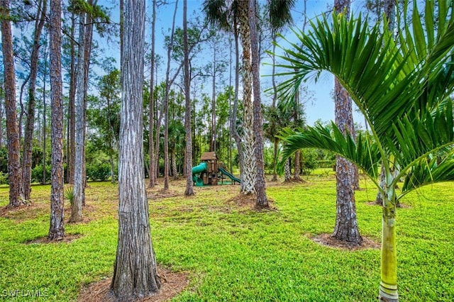 view of yard with a playground