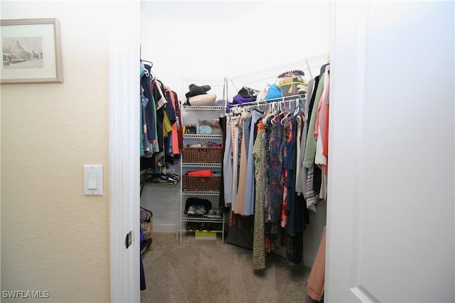 spacious closet with carpet