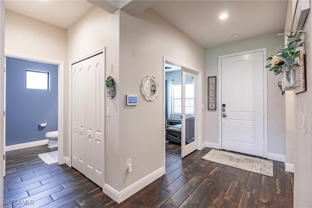 entryway with plenty of natural light and dark wood-type flooring