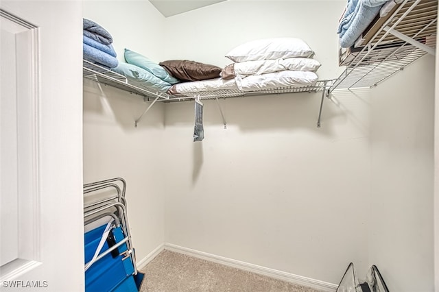 spacious closet featuring carpet floors