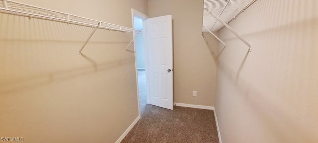 spacious closet with dark carpet