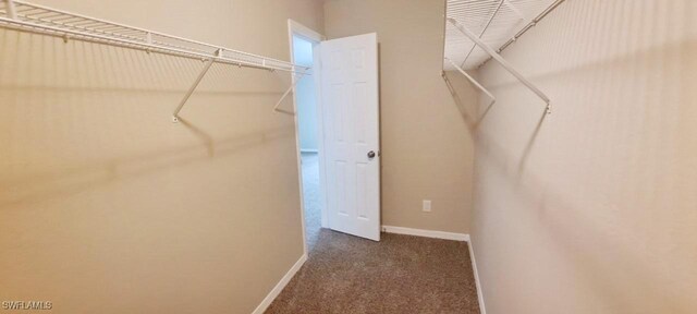 880 Wilson Blvd N, Naples, FL 34120 - walk in closet with carpet flooring