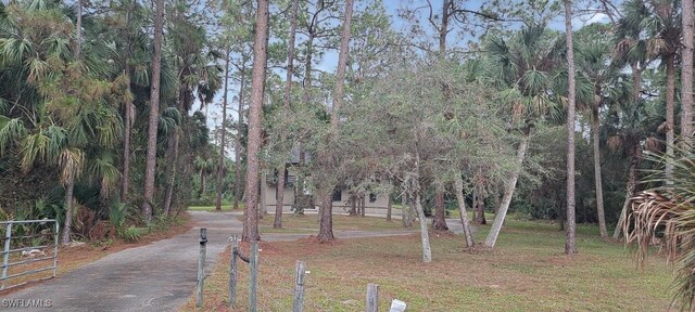 880 Wilson Blvd N, Naples, FL 34120 - surrounding community featuring asphalt driveway