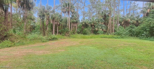 880 Wilson Blvd N, Naples, FL 34120 - view of grassy yard