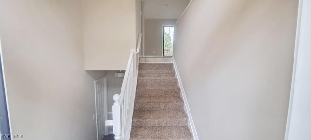 880 Wilson Blvd N, Naples, FL 34120 - stairs with carpet flooring and baseboards