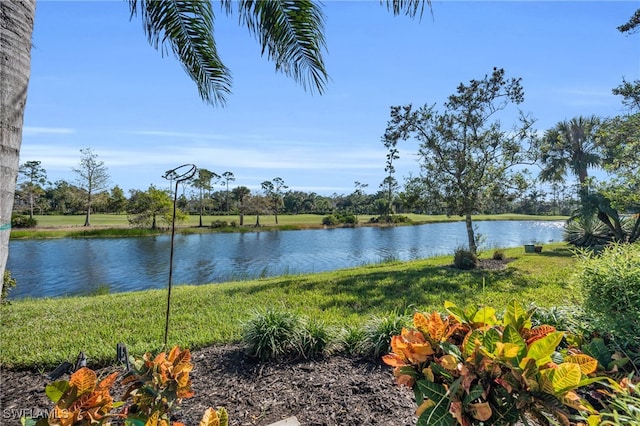 view of water feature