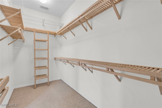 walk in closet featuring carpet floors