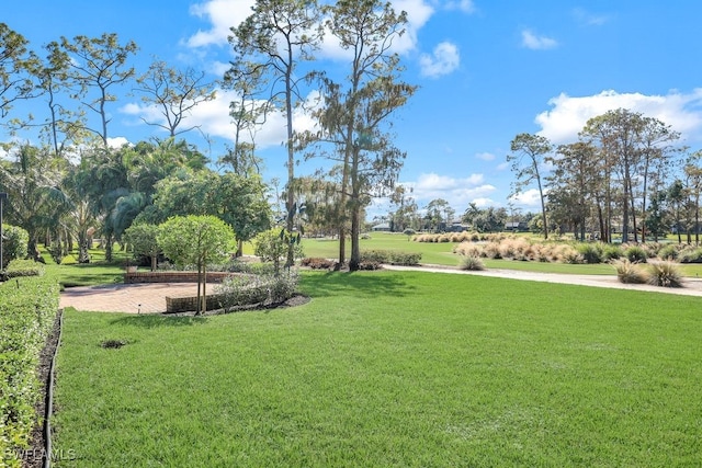 view of property's community with a yard