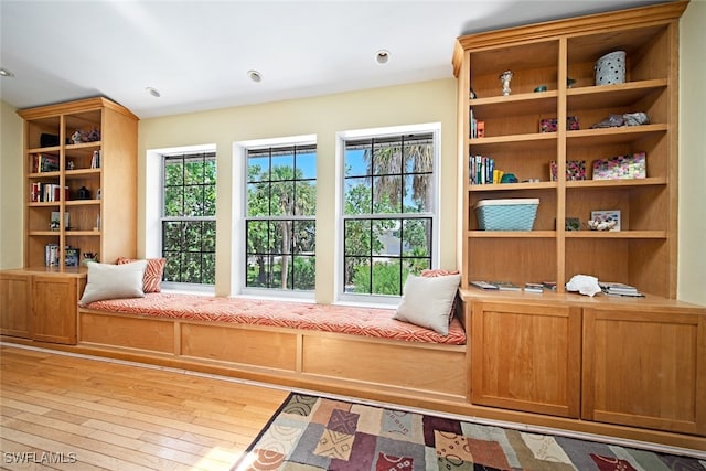 living area featuring light hardwood / wood-style flooring and a healthy amount of sunlight