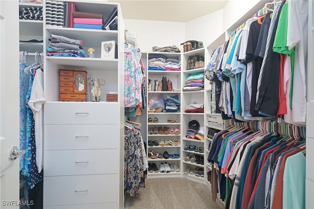 walk in closet featuring carpet