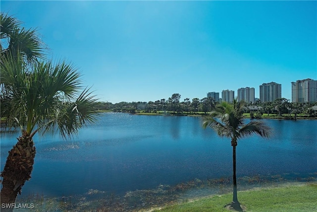 view of water feature