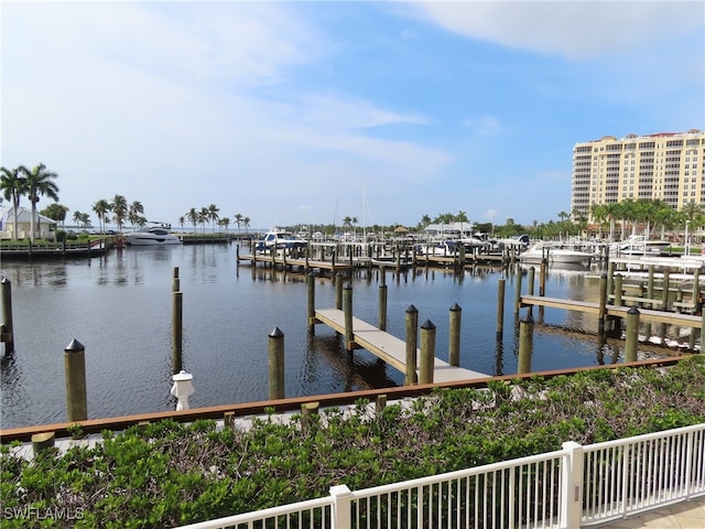 dock area with a water view