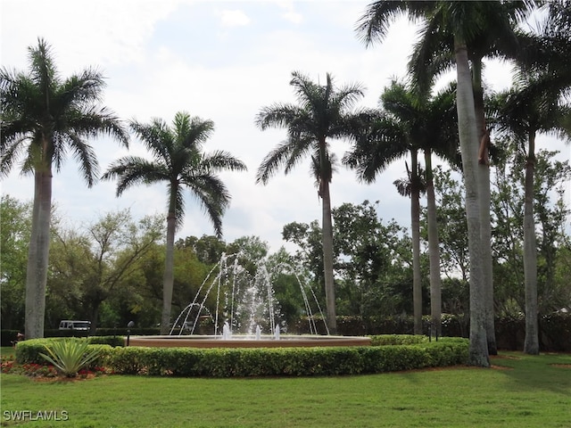 view of community with a lawn