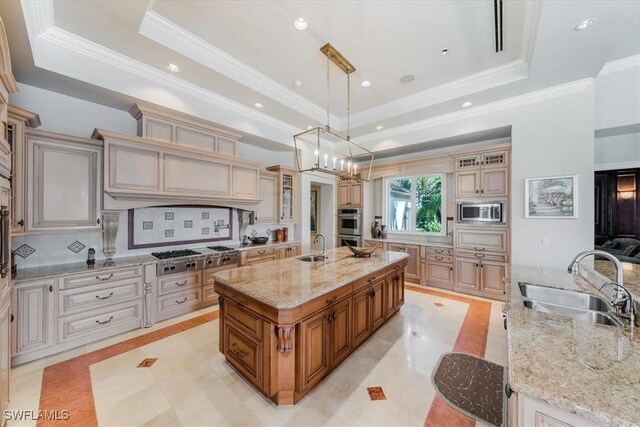 kitchen with a spacious island, sink, hanging light fixtures, a tray ceiling, and stainless steel appliances