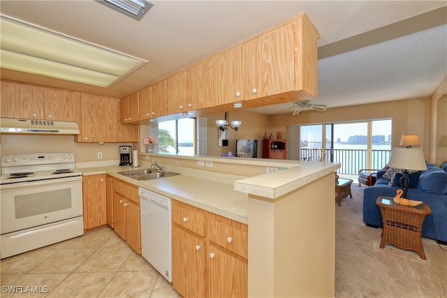 kitchen featuring a healthy amount of sunlight, sink, white appliances, and kitchen peninsula