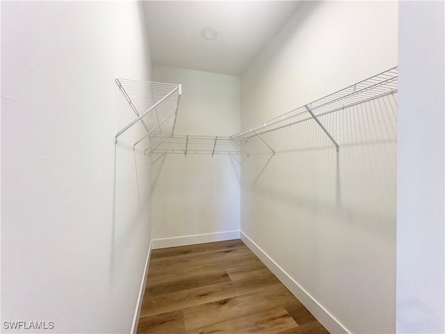 walk in closet featuring wood-type flooring