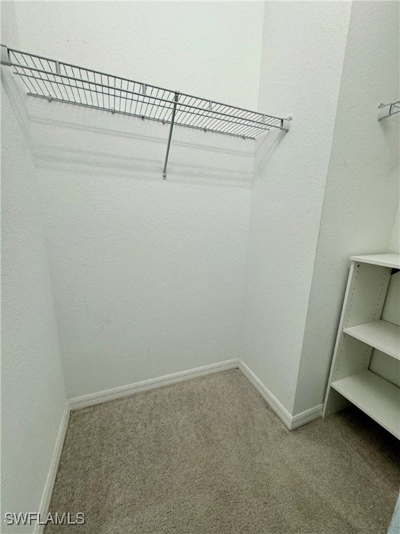 spacious closet with carpet