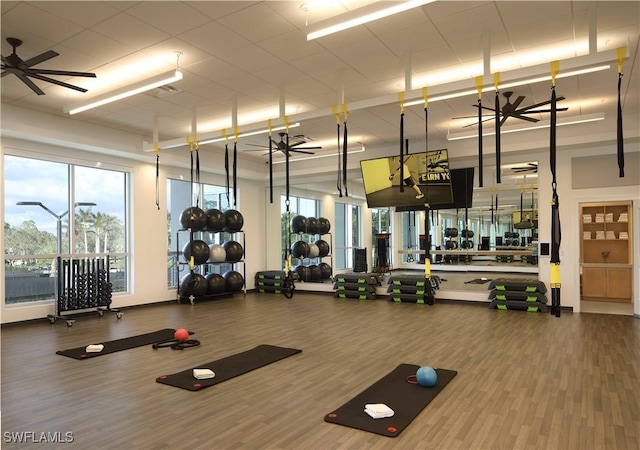 gym with hardwood / wood-style floors and ceiling fan