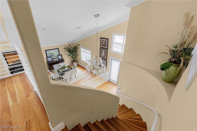 staircase featuring hardwood / wood-style flooring and ornamental molding