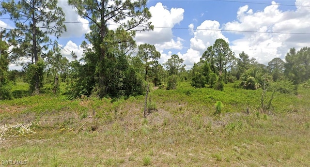 941 Foxdale Ave, Lehigh Acres FL, 33974 land for sale