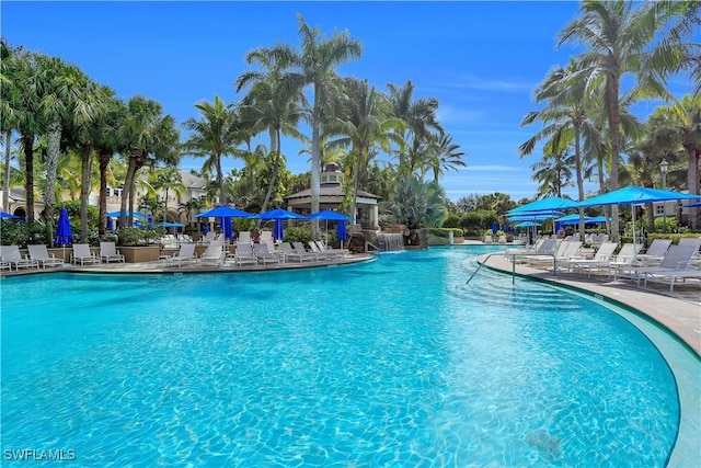 view of pool featuring a patio