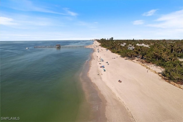 property view of water with a beach view