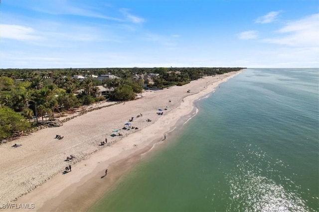 aerial view with a water view and a view of the beach