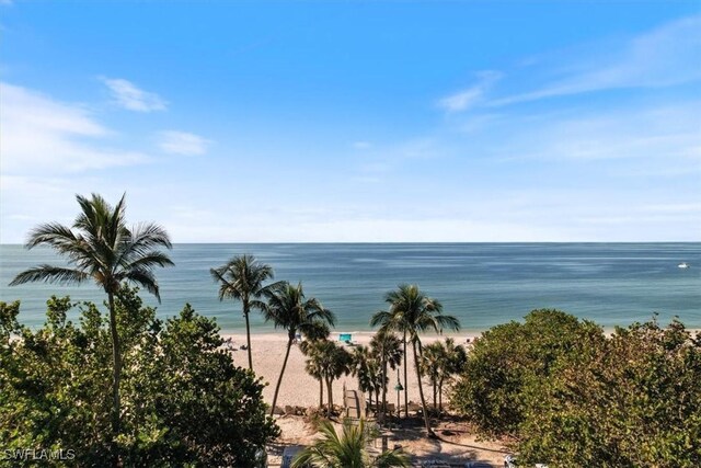 view of water feature featuring a view of the beach